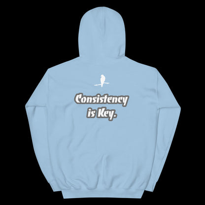 ATD "Consistency is Key" Unisex Hoodie
