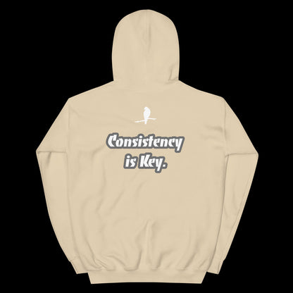 ATD "Consistency is Key" Unisex Hoodie